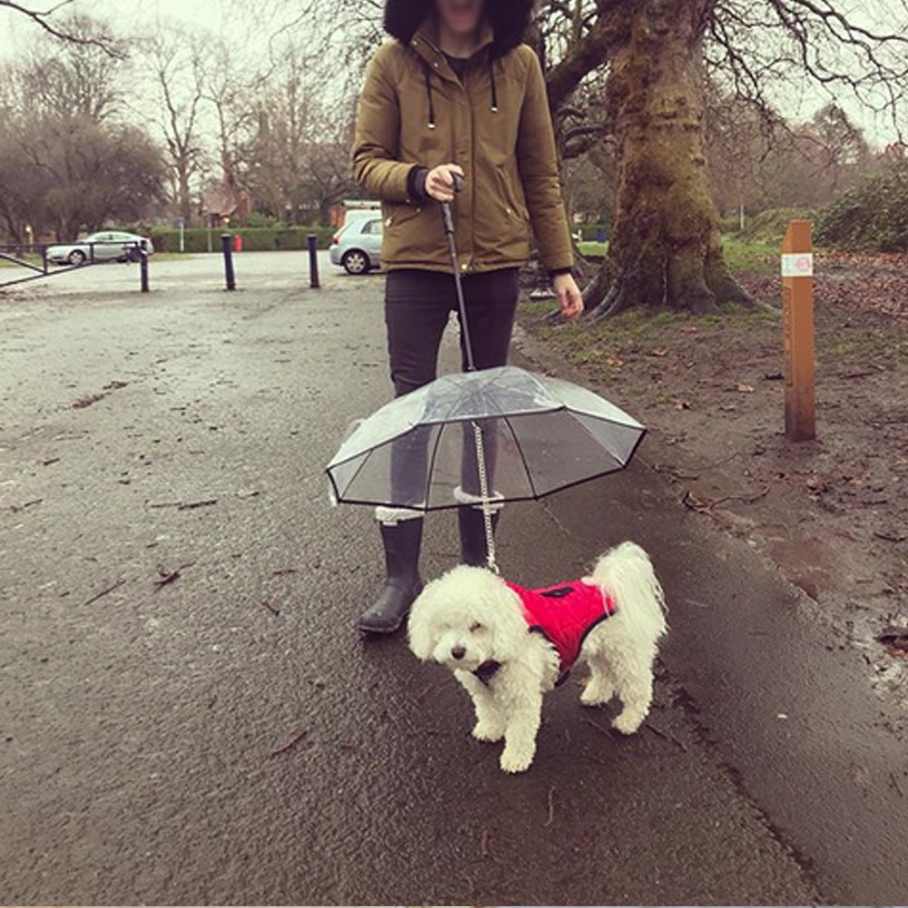 Transparent Dog Umbrella for Pets