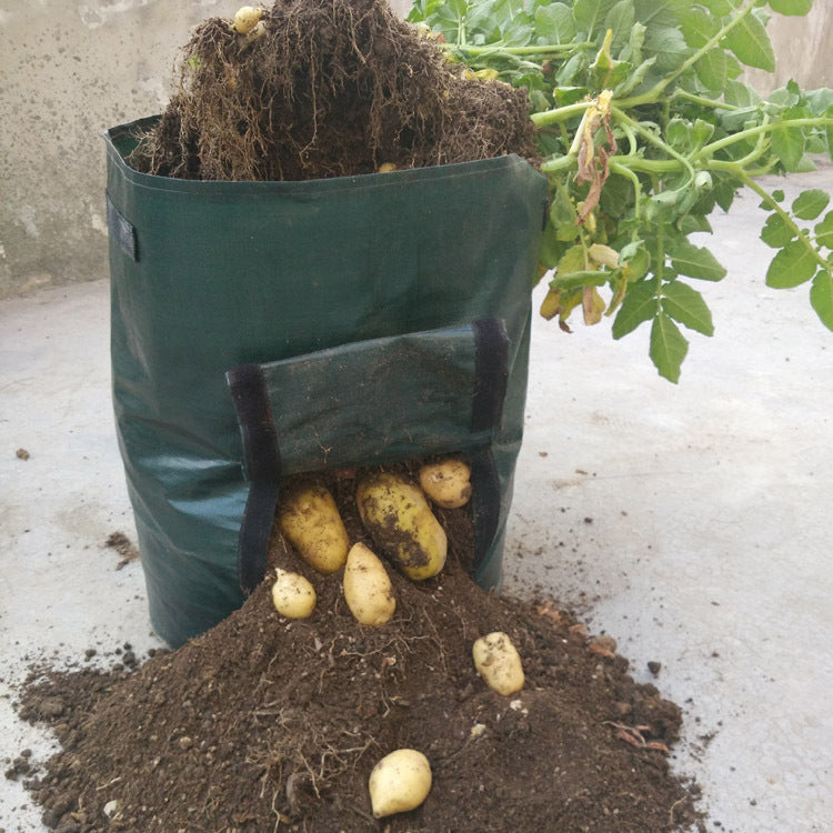 Bolsa de plantación de tela PE