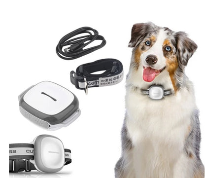 Localizador GPS para mascotas