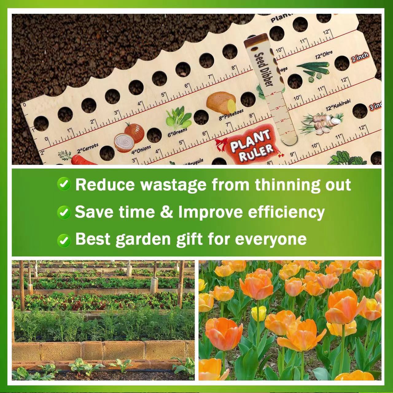 Wooden Seedling Planting Ruler | Multifunctional Garden Tool